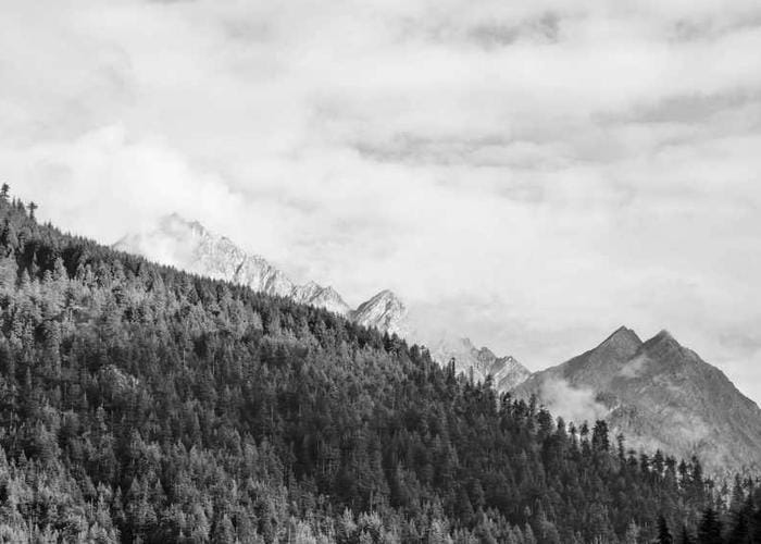 Clean white workspace with minimal decorative elements