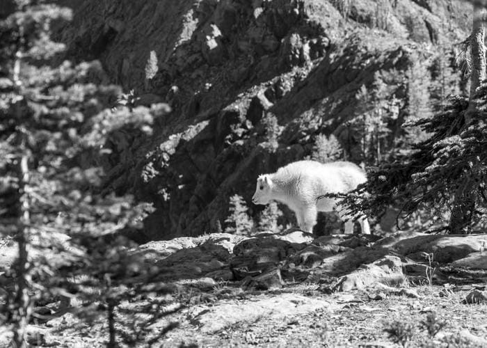 Various modern font samples arranged artistically